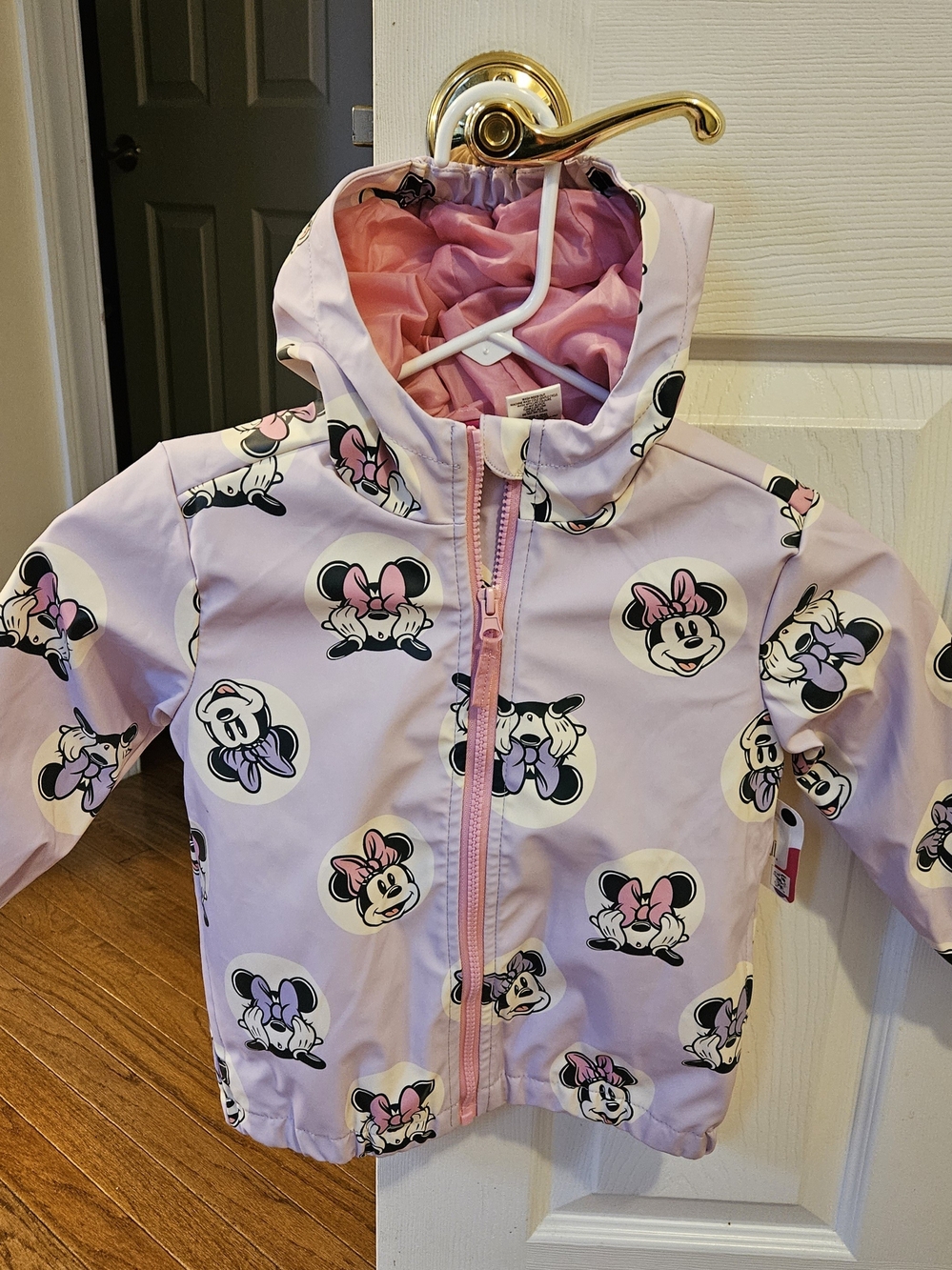 Disney Girls' Minnie Mouse Pink & Purple Raincoat